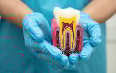Designing a Dental Procedure Pricing Page for Cash & Insurance