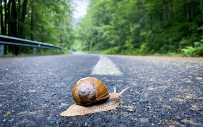 Speed Test: Is Your Site Slower Than Your Front Desk Phone?