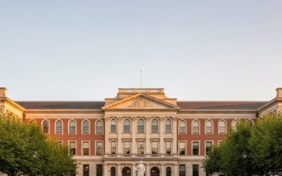 Should You Post School Policies Online? A Decision Tree for Clarity vs. Control