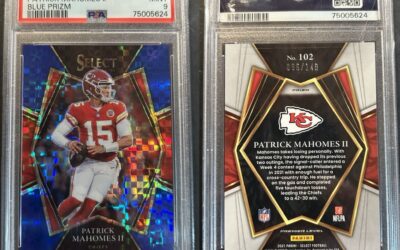 Digital Collecting Is the New Social Currency: Why Niche Communities Rule the Internet